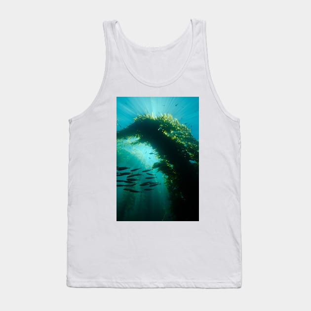 Sunrays In a Kelp Forest Tank Top by jbbarnes